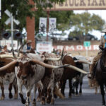 Fort Worth Stockyards